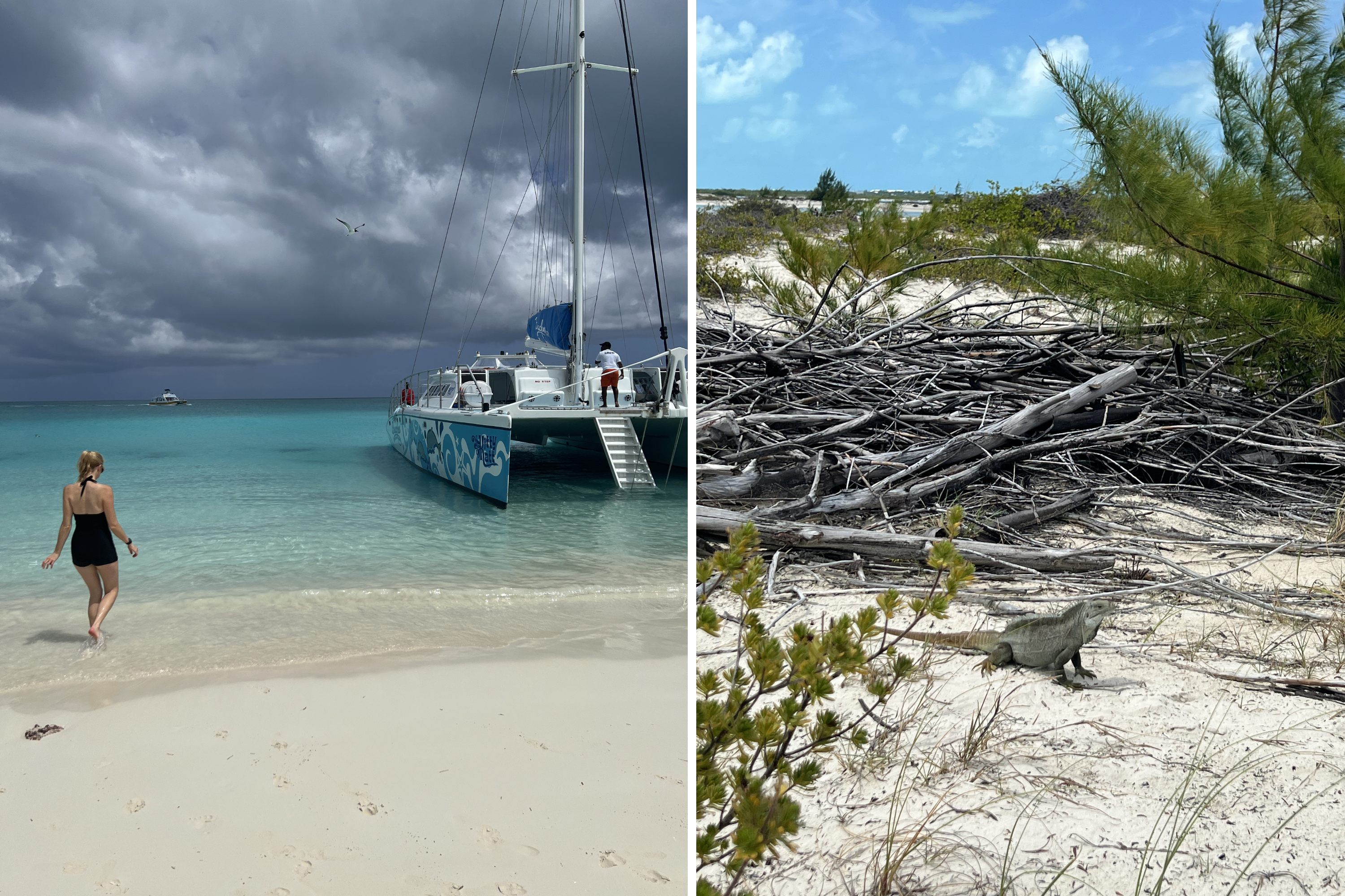 A woman walking by a boat next to a composite images of an iguana on iguana beach in Turks &amp;amp; Caicos