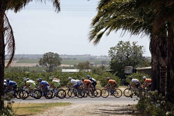 The Tour Down Under peloton on stage 5.