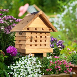 wooden beehive in a garden with pink and white flowers