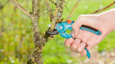Gardena Comfort Anvil Pruning Shears