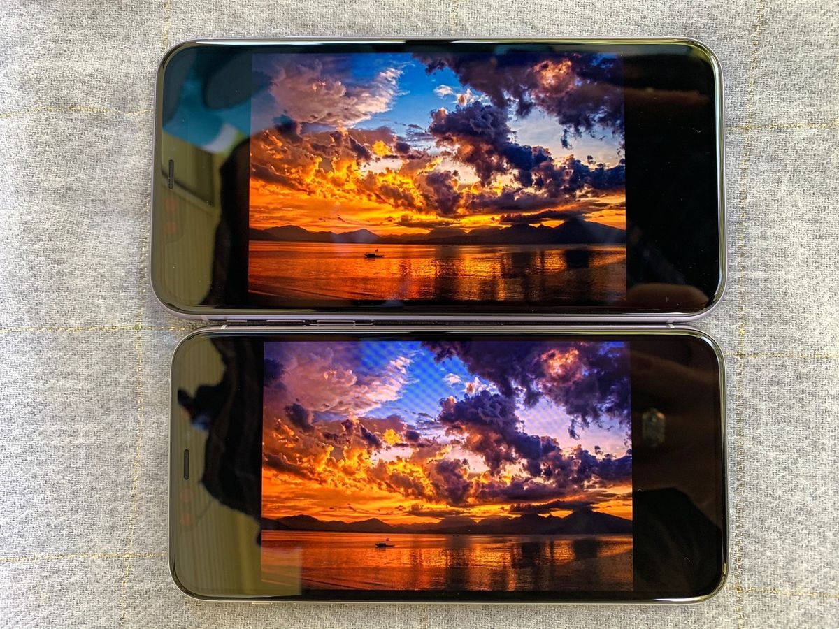 iPhone 11 vs iPhone 11 Pro display