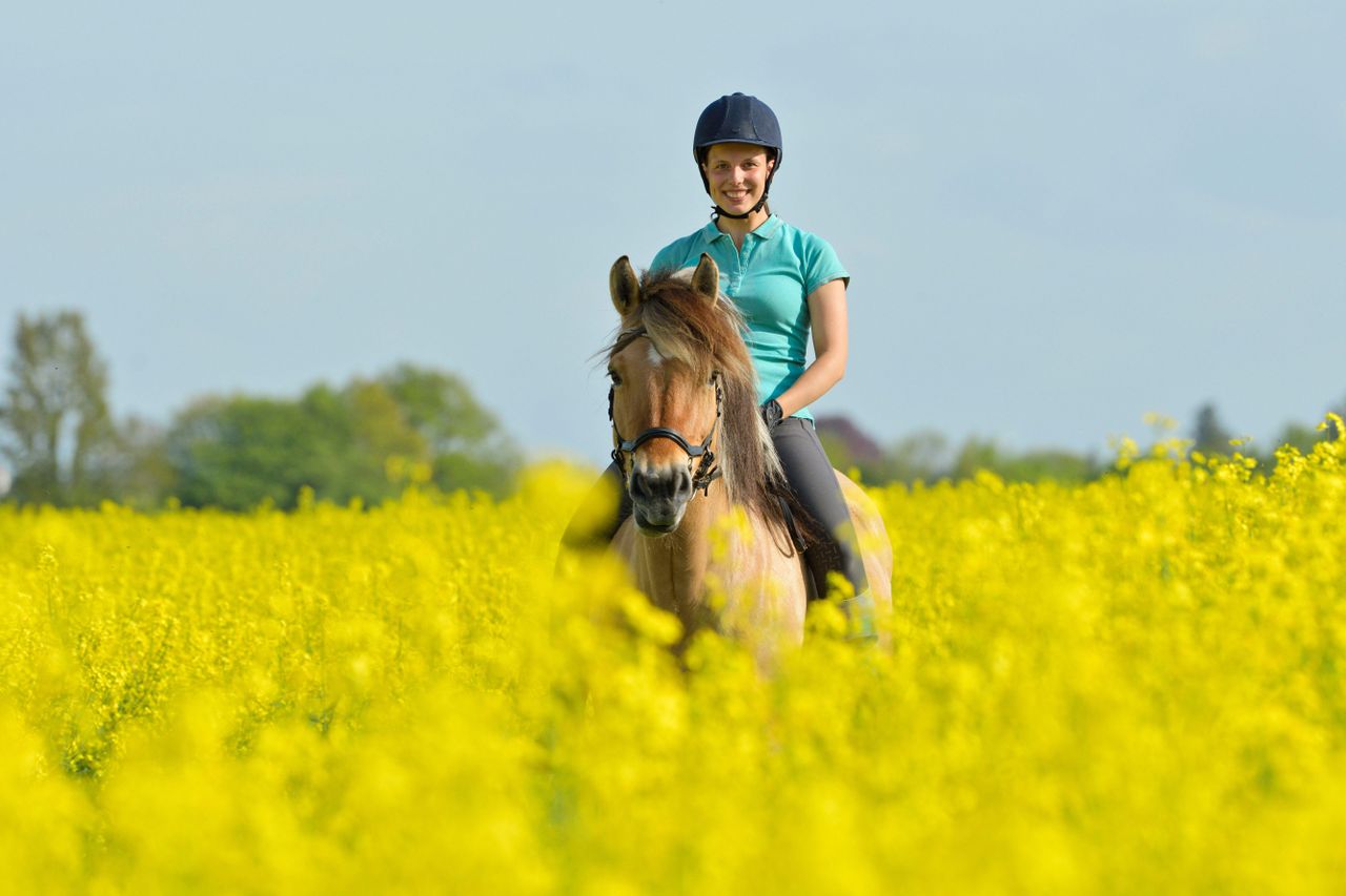 Using positive psychology to make you a better rider