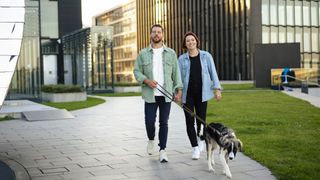 Couple walking dog on urban footpath