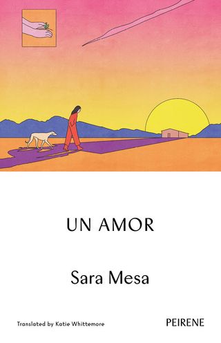 The book cover of Un Amor, Sara Mesa