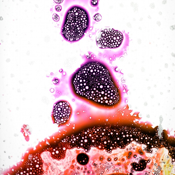Corey Holms - Food Dye Photography