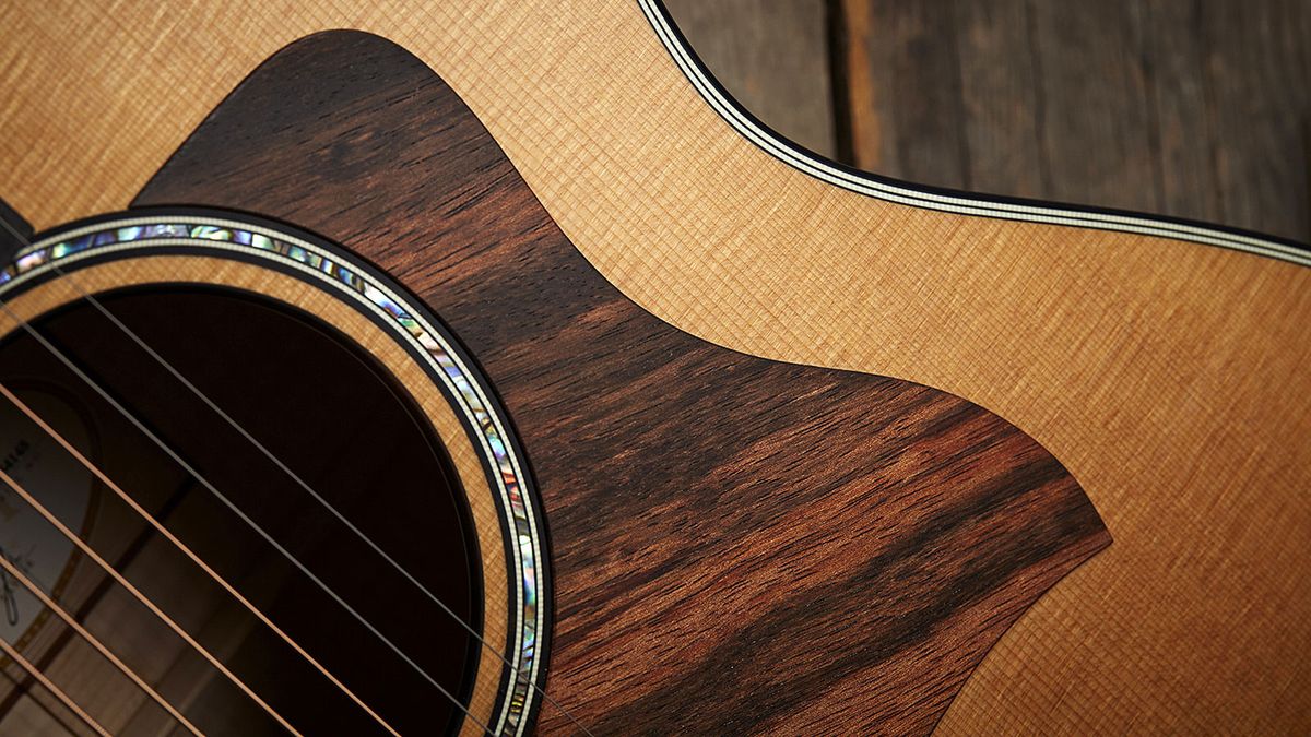 We were bowled over by the Sitka spruce top and striped ebony pickguard