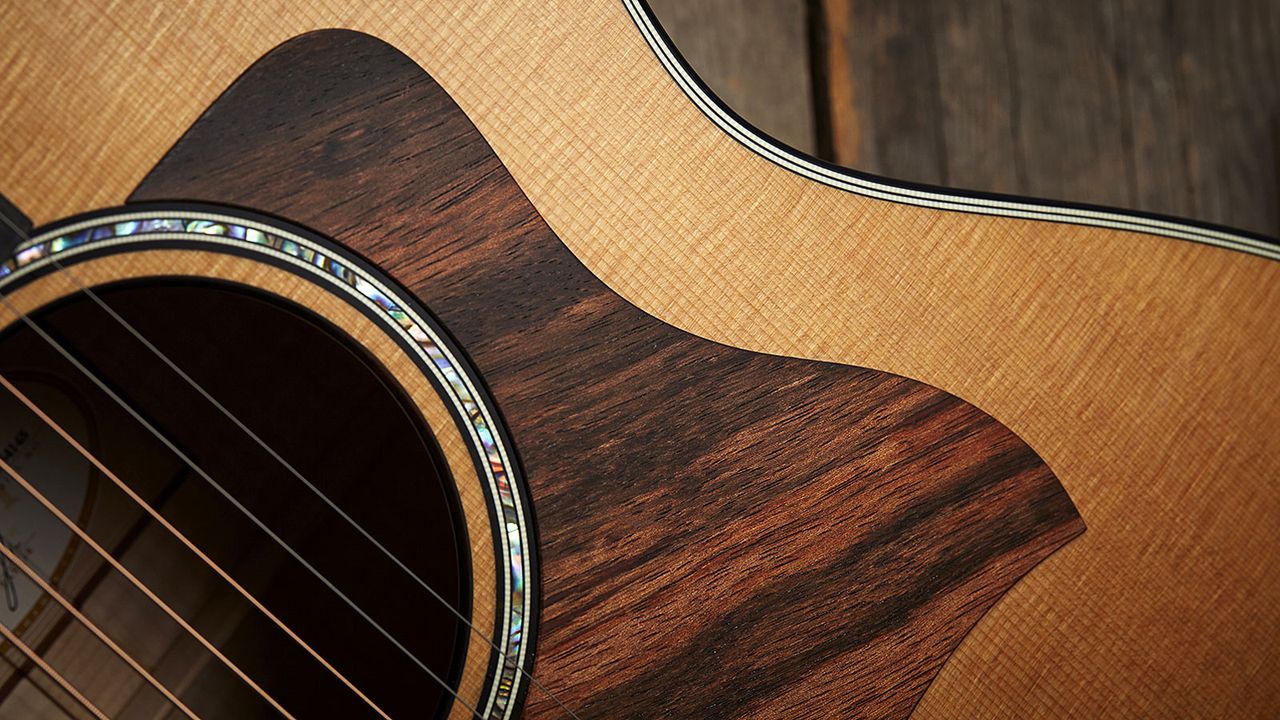 We were bowled over by the Sitka spruce top and striped ebony pickguard