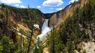 Lower Falls at Yellowstone National Park
