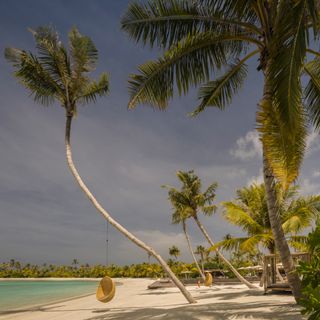 Patina Maldives beach and hanging basket seating