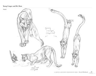 Principles of Creature Design Review: a sketch a day