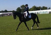 Main_dressage.jpg