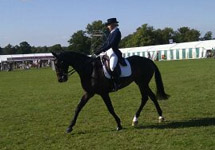 Main_dressage.jpg
