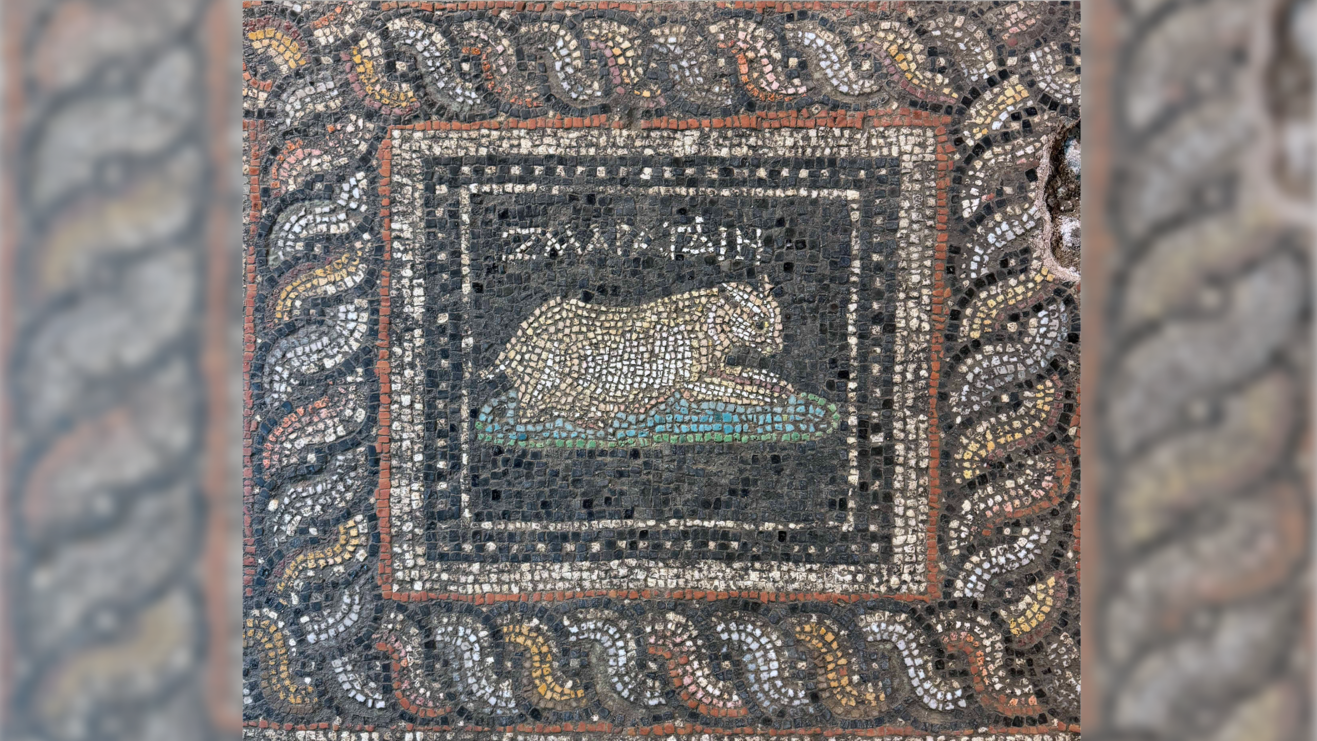 a panel from a multicolored Roman floor mosaic depicting a cat named Emerald