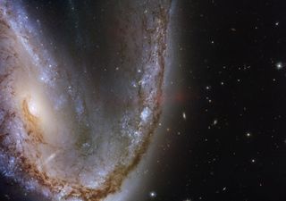 The Hubble Space Telescope captured a spectacular, cosmic fireworks show in this image of the galaxy NGC 2442, nicknamed the Meathook Galaxy because of its unusual shape. This galaxy held the white dwarf star supernova SN2015F, which was first discovered in March 2015.