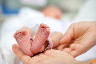 Close-up of newborn baby's feet.