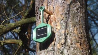 A Silvanet sensor hanging on a tree