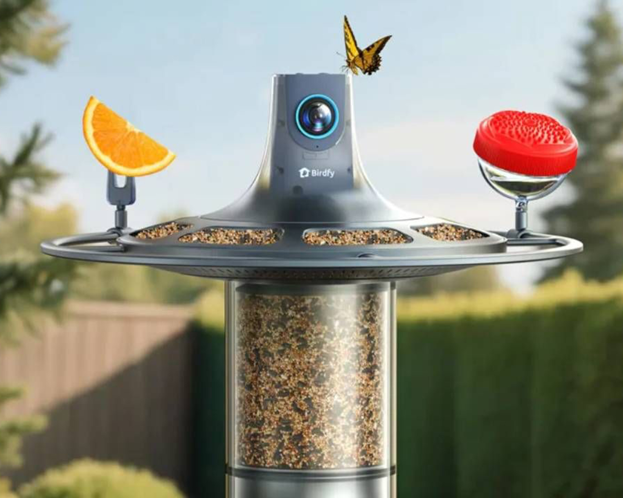 Birdfy Vista feeder with butterfly