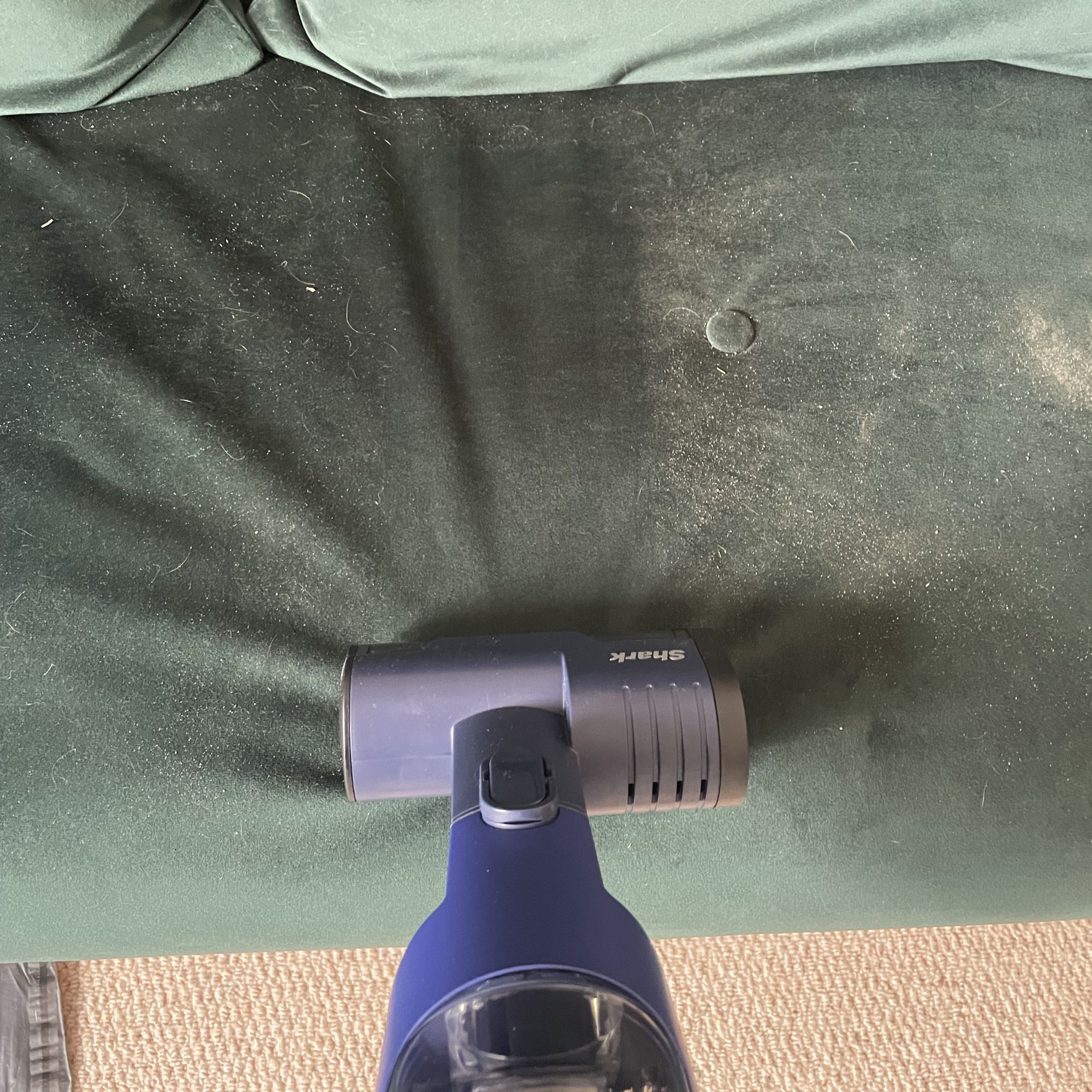 Shark handheld cleaning a dirty green velvet sofa bed