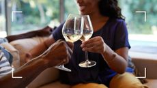 View of woman holding glass of white wine, cheers with another, sitting on the sofa to represent is it okay to drink alcohol every day