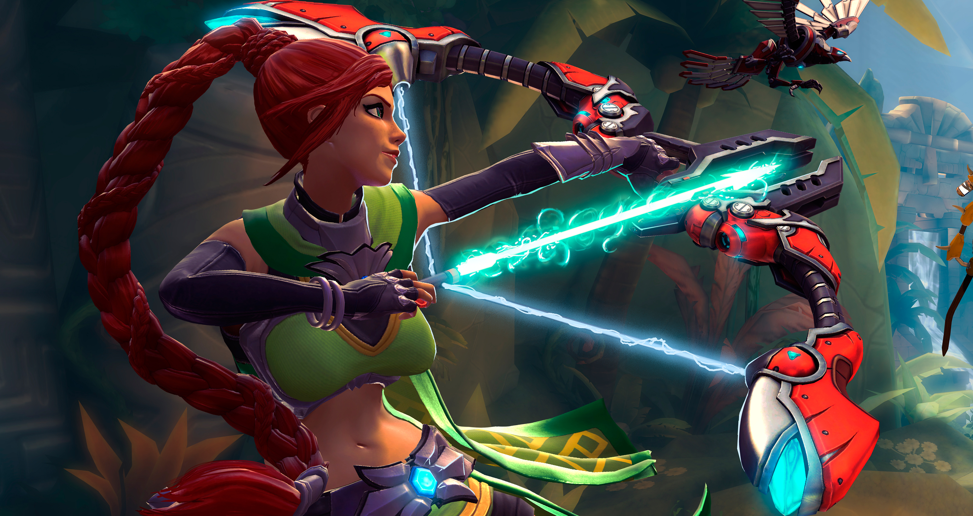 Paladins raffle header