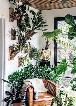 mounted plant murals by Hilton Carter, Living Wild