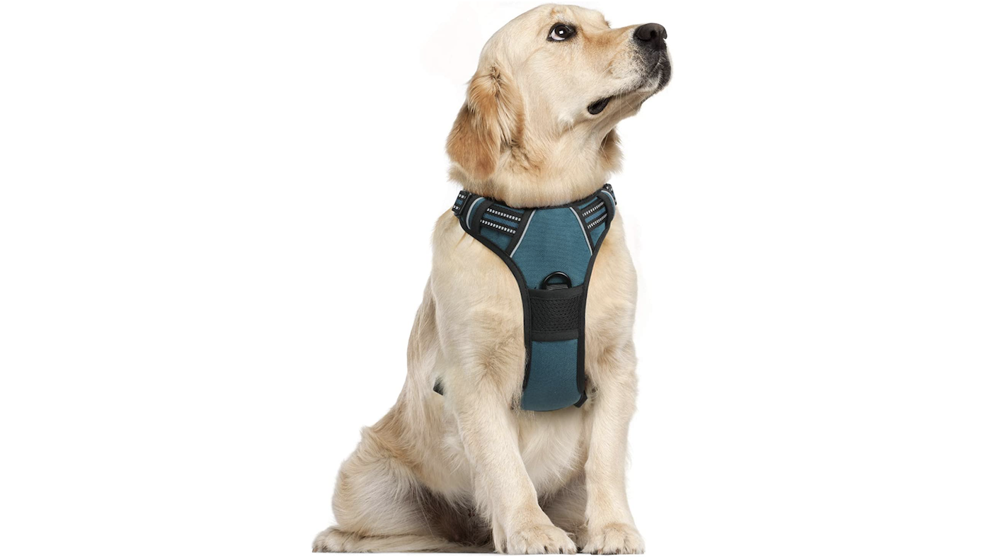Rabbitgoo green dog harness for pulling