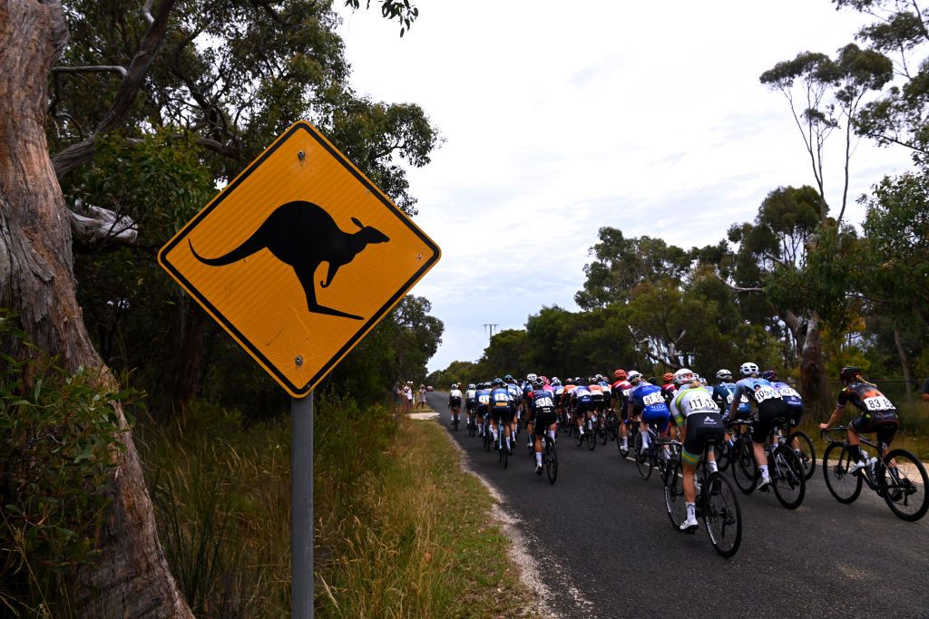 GEELONG AUSTRALIA JANUARY 28 Detailed view of Kangaroo signal during the 7th Cadel Evans Great Ocean Road Race 2023 Womens Elite a 1408km one day race from Geelong to Geelong CadelRoadRace UCIWWT on January 28 2023 in Geelong Australia Photo by Tim de WaeleGetty Images
