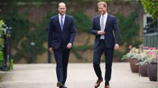 prince william and prince harry announce some exciting news