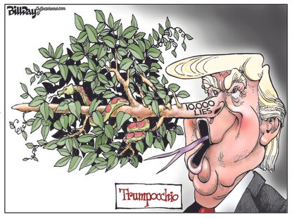 Political Cartoon U.S. Trumpocchio 10000 lies