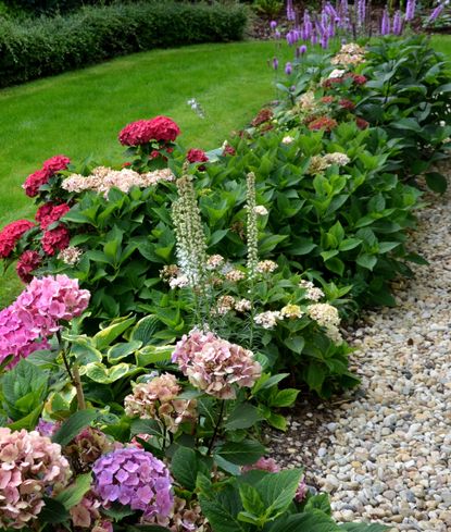 Using rocks instead of mulch: the versatile alternative | Homes & Gardens