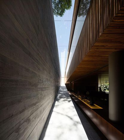 Perfect poise: a Brazilian house designed around a ramp and an art ...