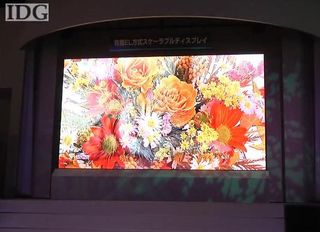 The MItsubishi 155-inch OLED TV