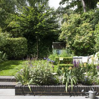 garden area with plants and watering can