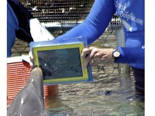 Dolphin iPad