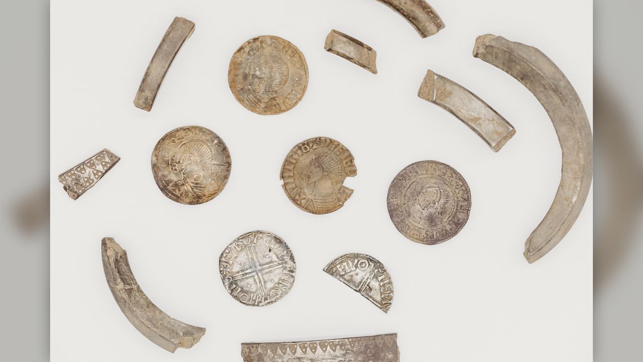 Pieces of money and hack silver from the hoard.