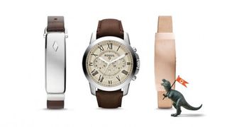 Fossil Q Family