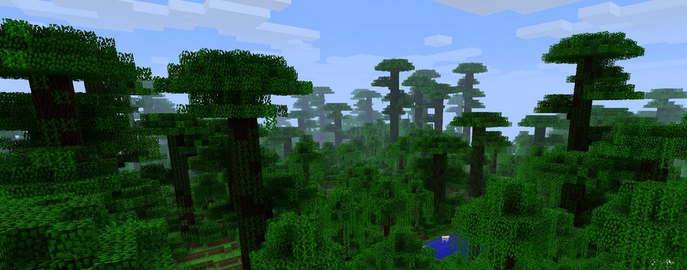 Minecraft jungle