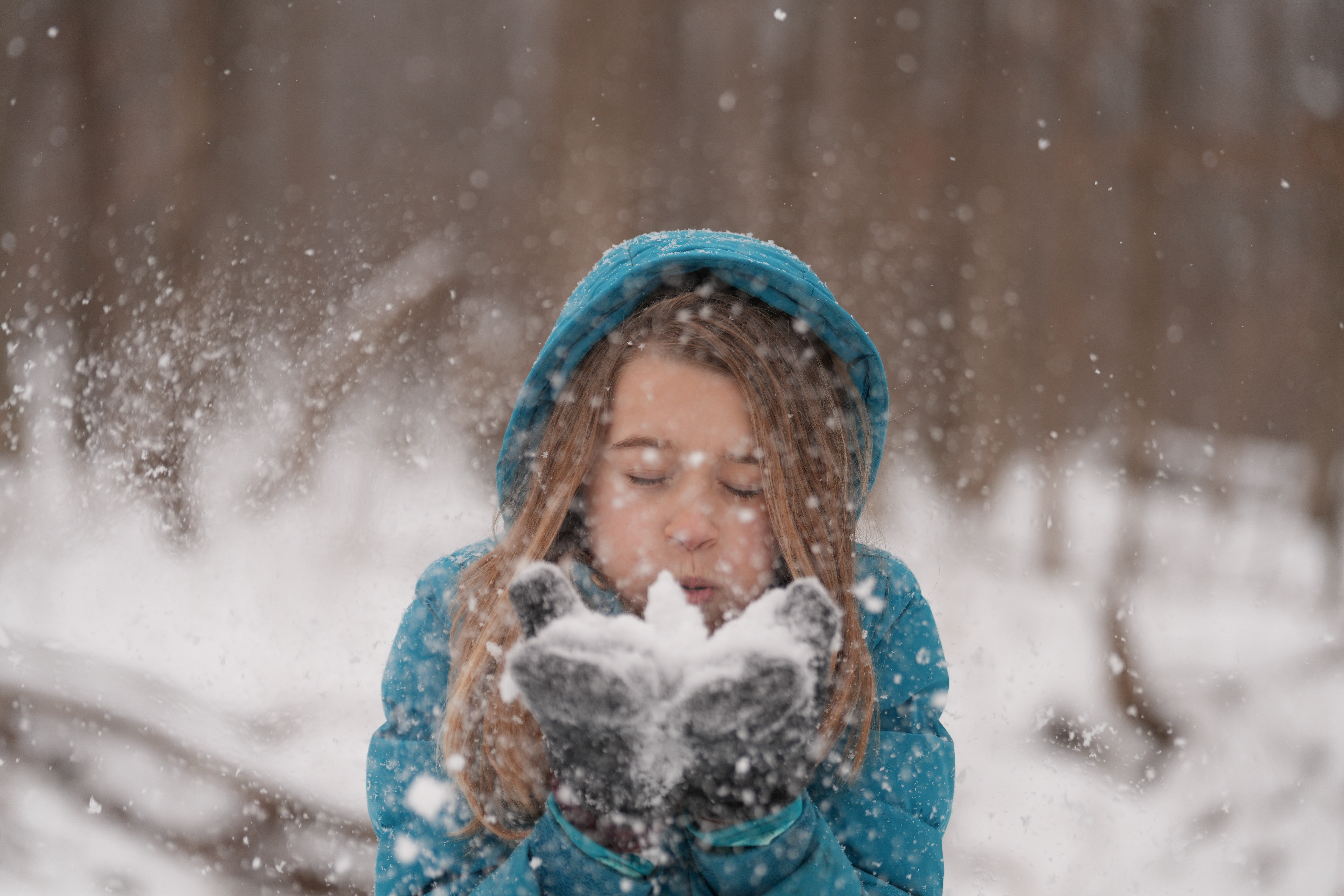 Sample images taken with the Sony 70-200mm f/2.8 GM OSS II lens and the Sony A7R V