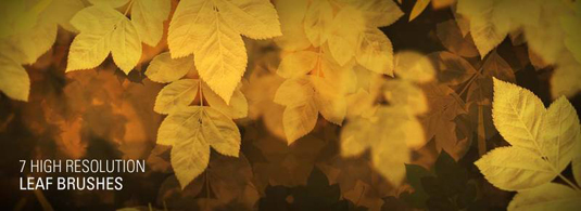 Photoshop brushes: leaf