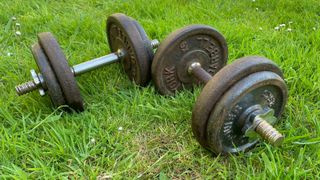 The pair of rusty spinlock dumbbells used for CVhris Hemsworth's workout