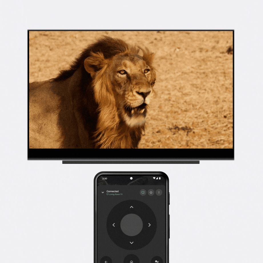 Casting to a nearby TV from the Google TV app