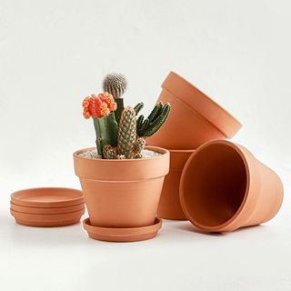 Amazon terracotta flower pots