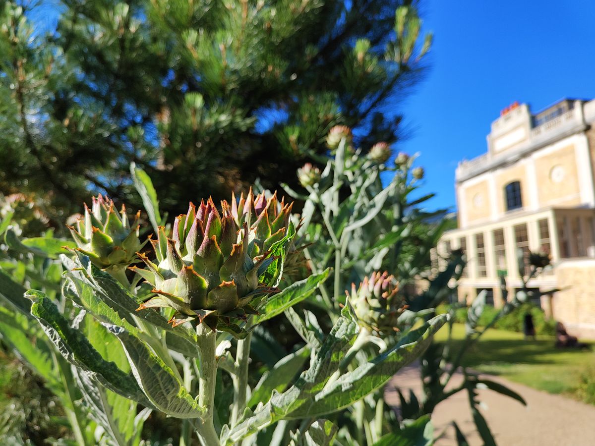 Photo taken on Xiaomi 12 Lite smartphone