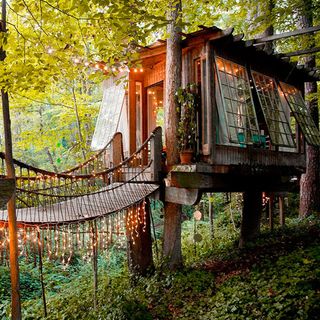 Wooden treehouse with light up bridge, large glass windows and trees/greenery surrounding it