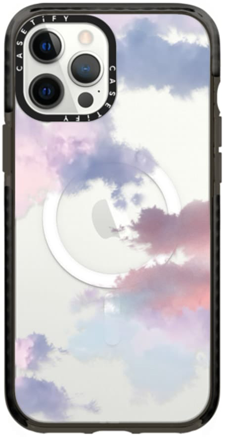 Casetify Iphone12 Pro Max