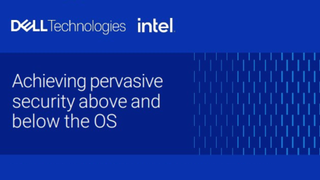 Achieving pervasive security above and below the OS