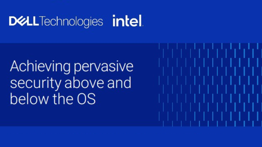 Achieving pervasive security above and below the OS