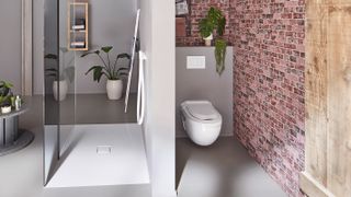 shower room with wall dividing toilet