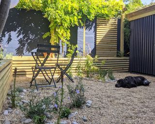 gravel garden with a bistro set under a large tree