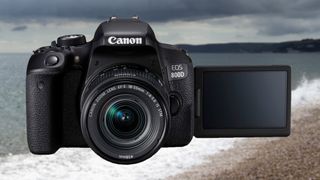 Canon EOS Rebel T7i / EOS 800D review